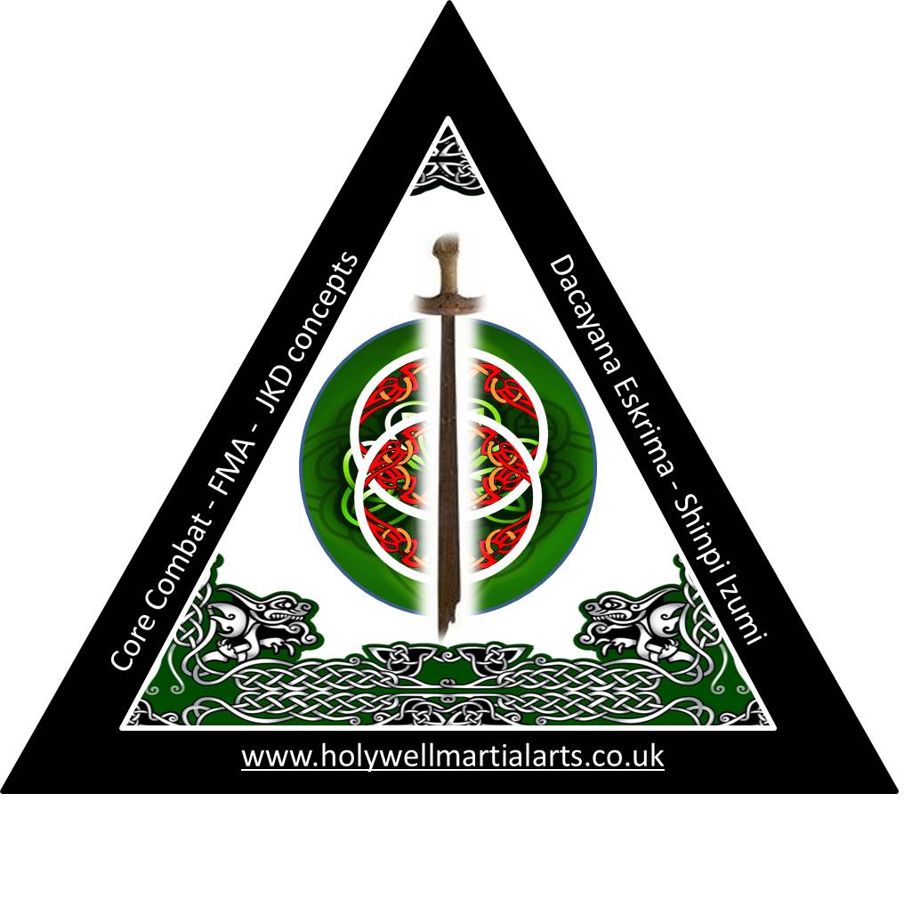 Holywell_Martial_Arts_Logo.jpg