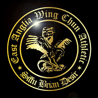 ea_wing_chun.png