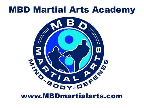 mbd_martial_arts_academy_new_logo_and_website